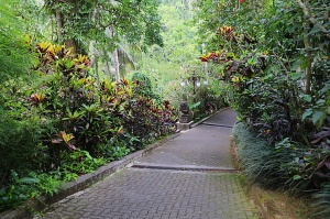Travelnews.lv iepazīst Bali džungļu viesnīcu «Ayung Resort Ubud» un tās teritoriju.  «Turkish Airlines» un «365 Brīvdienas» 25