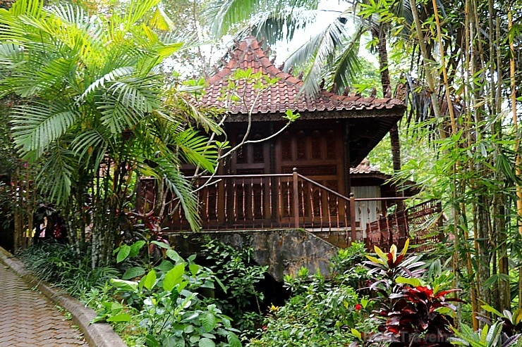 Travelnews.lv iepazīst Bali džungļu viesnīcas «Ayung Resort Ubud» villas.  «Turkish Airlines» un «365 Brīvdienas» 280037