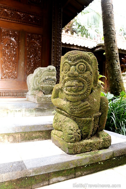 Travelnews.lv iepazīst Bali džungļu viesnīcas «Ayung Resort Ubud» villas.  «Turkish Airlines» un «365 Brīvdienas» 280081