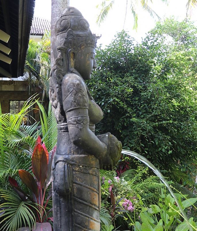 Travelnews.lv iepazīst Bali džungļu viesnīcas «Ayung Resort Ubud» villas.  «Turkish Airlines» un «365 Brīvdienas» 280083