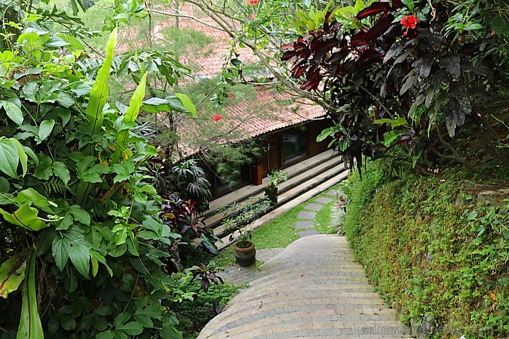 Travelnews.lv iepazīst Bali džungļu viesnīcas «Ayung Resort Ubud» villas.  «Turkish Airlines» un «365 Brīvdienas» 280084
