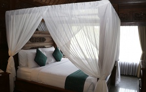 Travelnews.lv iepazīst Bali džungļu viesnīcas «Ayung Resort Ubud» villas.  «Turkish Airlines» un «365 Brīvdienas» 15