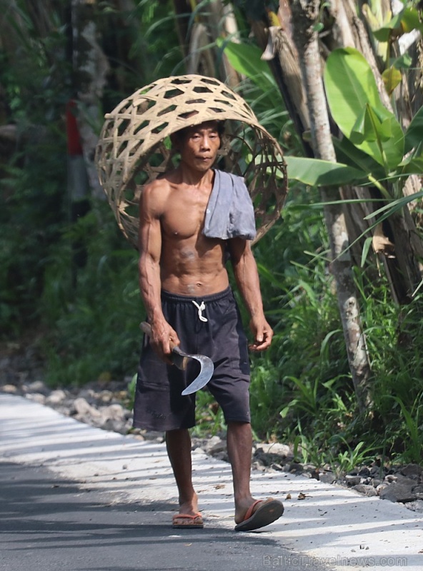 Travelnews.lv piedāvā fotomirkļus no Bali ielas dzīves un transporta 280331