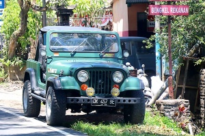 Travelnews.lv piedāvā fotomirkļus no Bali ielas dzīves un transporta 8