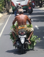Travelnews.lv piedāvā fotomirkļus no Bali ielas dzīves un transporta 23