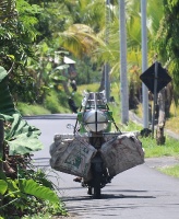 Travelnews.lv piedāvā fotomirkļus no Bali ielas dzīves un transporta 25