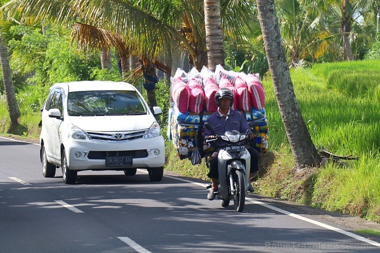 Travelnews.lv piedāvā fotomirkļus no Bali ielas satiksmes dzīves. «Turkish Airlines» un «365 Brīvdienas» 280343