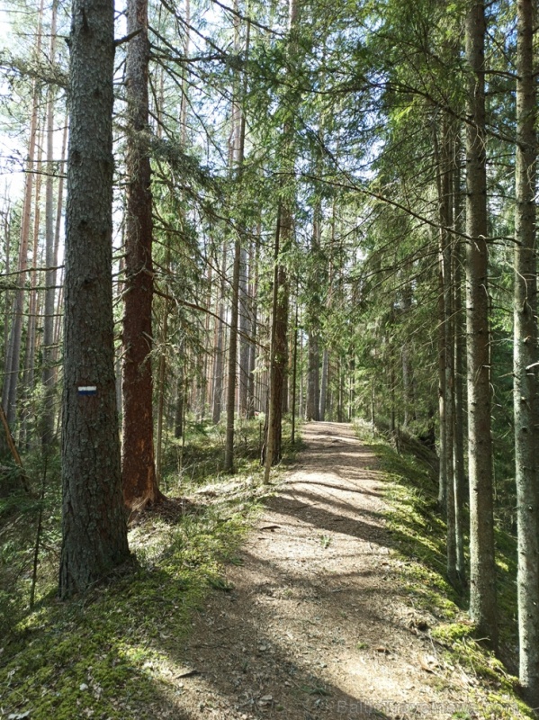 Abula dabas taka Valmieras pusē ir apmēram 12 kilometrus gara un ved caur Abula kreisā krasta mežiem, klajumiem un arī muižu apbūvēm 280561