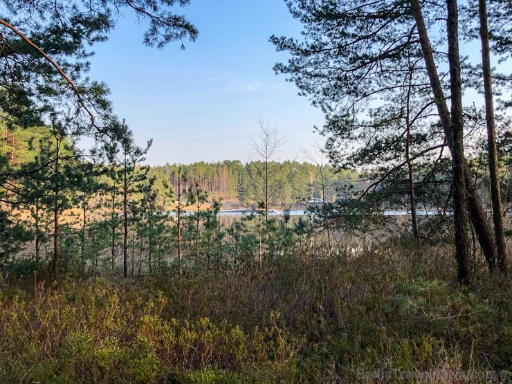 Pavasarīgi notverti mirkļi Carnikavas novada dabas objektos 280888
