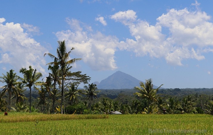 Travelnews.lv piedāvā fotomirkļus no Bali salas apceļošanas. «Turkish Airlines» un «365 Brīvdienas» 280946