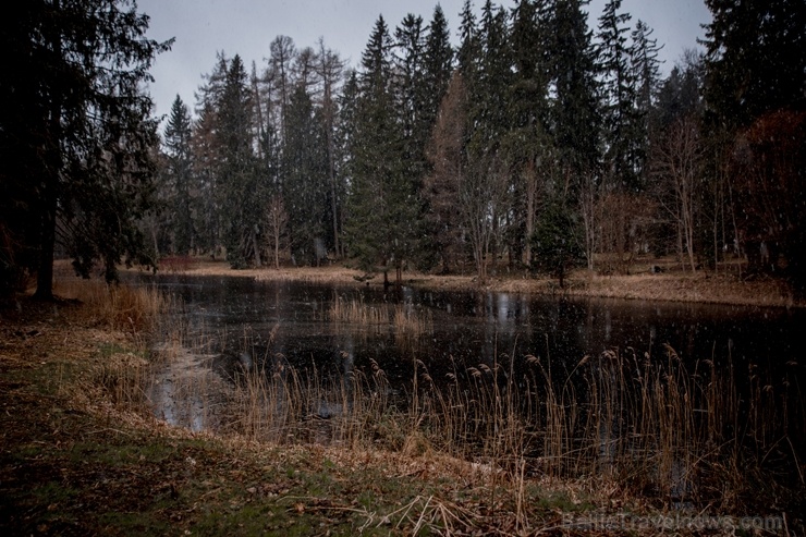 Gleznainajā Lūznavas muižas parkā plaukst pavasaris 281394