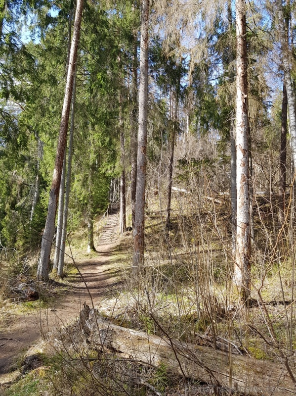 Viesatas upesloku dabas taka Tukuma  pusē ir ārkārtīgi skaista un patiks garāku pastaigu cienītājiem 281475