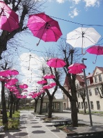Šogad Brīvības ielu Ogrē rotā ne tikai valsts karogi, bet arī ar sarkaniem un baltiem lietussargiem izdekorēta liepu aleja 19