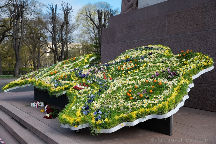 Brīvības pieminekli Rīgā rotā īpaša ziedu kompozīcija «Ziedu Latvija» 282102