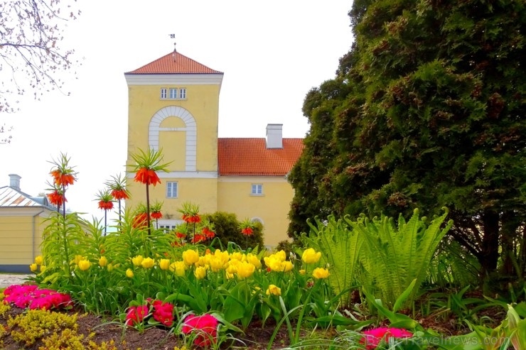 Ventspils Livonijas ordeņa pils ieskauta pavasara ziedos 282322