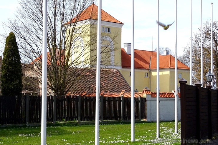 Ventspils Livonijas ordeņa pils ieskauta pavasara ziedos 282325
