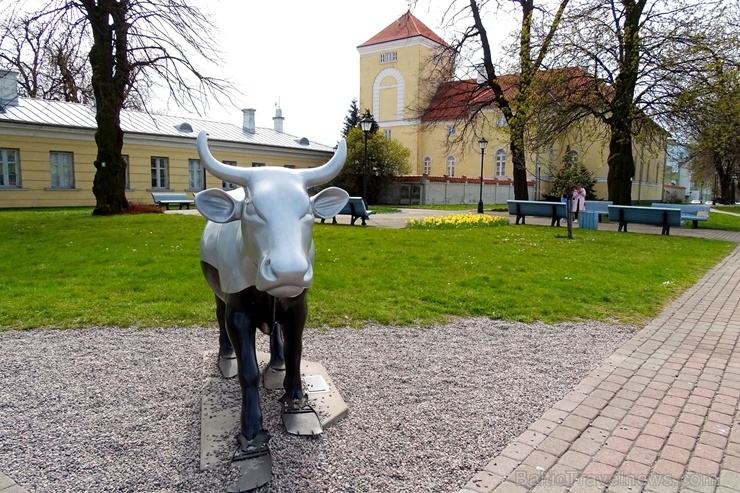 Ventspils Livonijas ordeņa pils ieskauta pavasara ziedos 282327