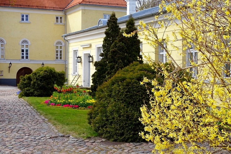 Ventspils Livonijas ordeņa pils ieskauta pavasara ziedos 282329