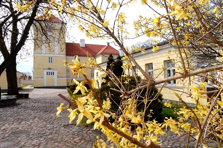 Ventspils Livonijas ordeņa pils ieskauta pavasara ziedos 282332