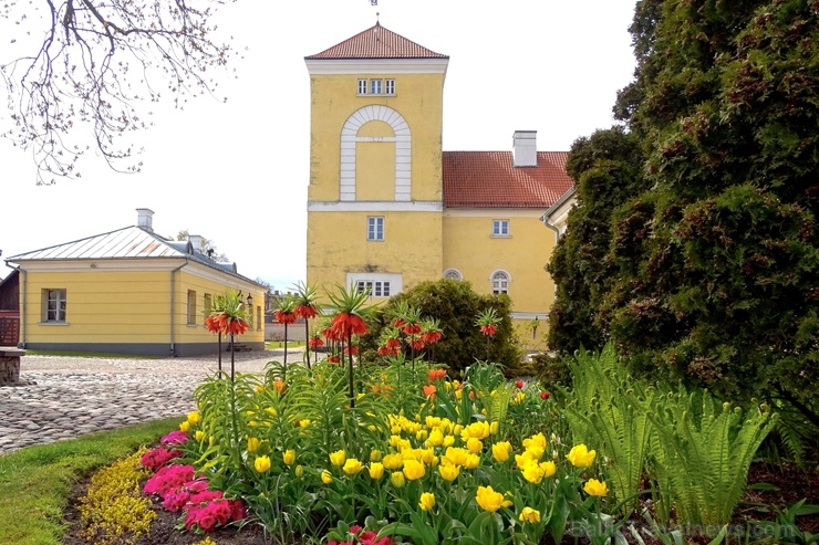 Ventspils Livonijas ordeņa pils ieskauta pavasara ziedos 282335