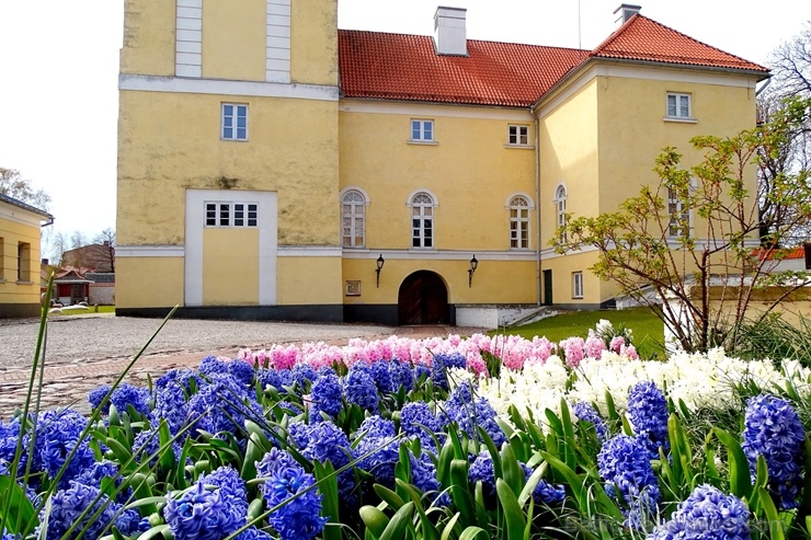 Ventspils Livonijas ordeņa pils ieskauta pavasara ziedos 282341