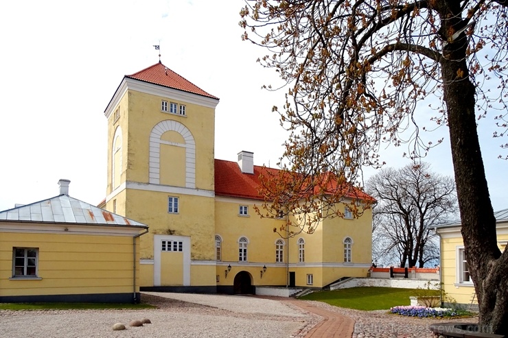 Ventspils Livonijas ordeņa pils ieskauta pavasara ziedos 282348