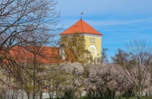 Ventspils Livonijas ordeņa pils ieskauta pavasara ziedos 2