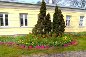 Ventspils Livonijas ordeņa pils ieskauta pavasara ziedos 17