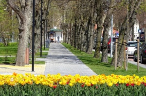 Ventspils ietērpta neskaitāmos pavasara ziedos 44