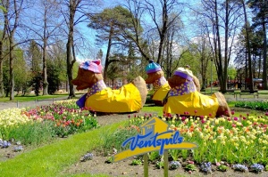 Ventspils ietērpta neskaitāmos pavasara ziedos 55