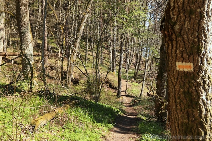Pārgājienu maršruts no Valmieras līdz Sīmanēnu svētozolam atklāj pavasarīgas ainavas 282818