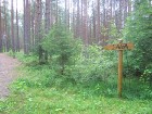 Norāde uz Ķemeru nacionālā parka Lielo tīreli (iebraukšana no Rīgas - Ventspils šosejas ~2,5 km) 5