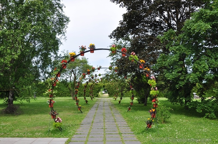 Salaspils novadā ceļotāji var baudīt vasarīgu noskaņu visdažādākajos objektos. Foto: Nacionālā botāniskā dārza arhīvs Salaspils novadā ceļotāji var baudīt vasarīgu noskaņu visdažādākajos objektos. Foto: Nacionālā botāniskā dārza arhīvs 286465