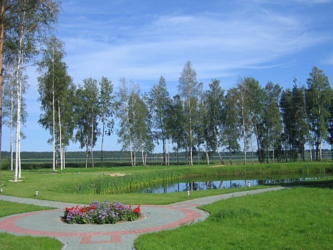 Labiekārtota kompleksa teritorija 15477