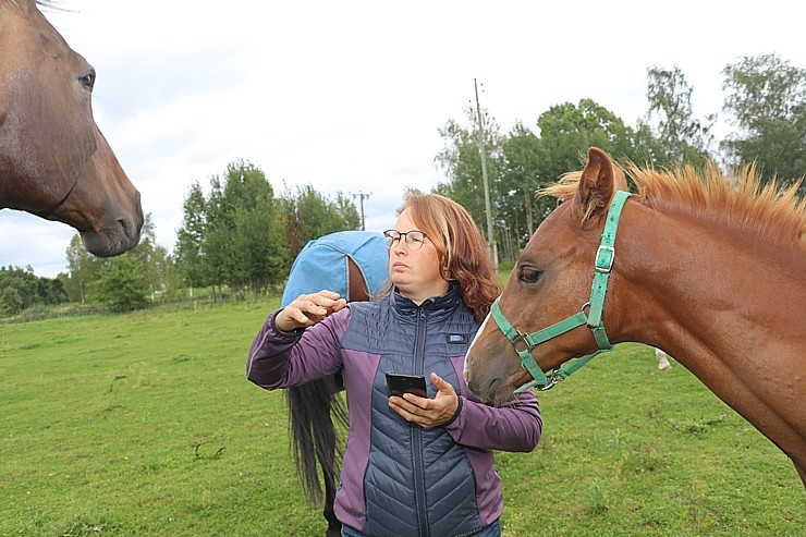 Travelnews.lv apmeklē zirgu stalli «Piķurgas» Salaspilī 290671