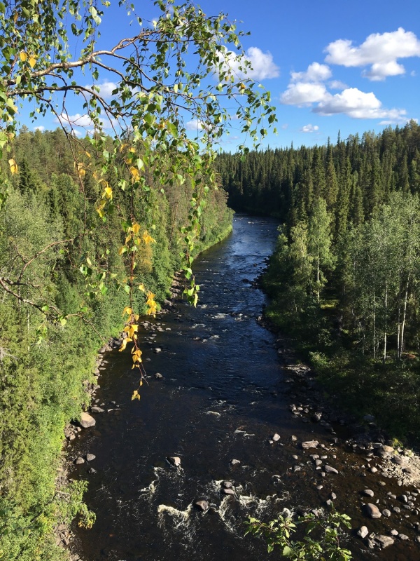 Kopā ar @suuntopulksteni.lv un @kidshike Travelnews.lv pieveic 102km populārākajā Somijas garo pārgājienu takā - Karhunkierros 291228