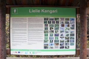 Travelnews.lv apmeklē jauno «Lielo Kangaru» skatu torni 2