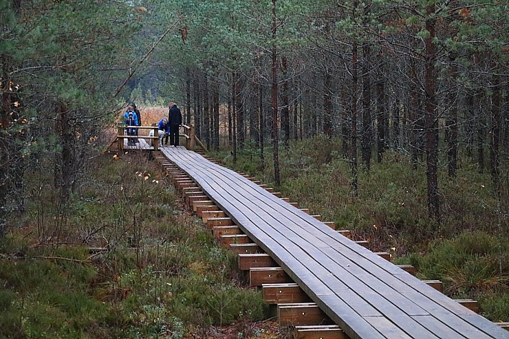Travelnews.lv iepazīst jauno «Lielo Kangaru» taku 293435