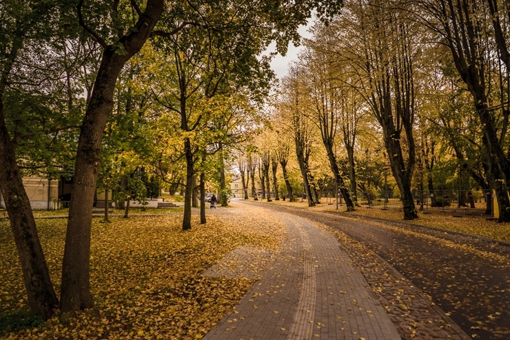 Vēju pilsēta Liepāja  ietērpjas rudens krāsās. Foto: Kārlis Volkovskis 293672