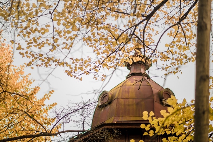 Vēju pilsēta Liepāja  ietērpjas rudens krāsās. Foto: Kārlis Volkovskis 293677