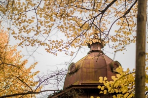 Vēju pilsēta Liepāja  ietērpjas rudens krāsās. Foto: Kārlis Volkovskis 13
