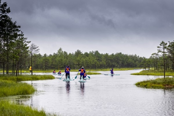 Baltijas nacionālo parku tūrisma biedrības svin Eiropas dabas un nacionālo parku dienu