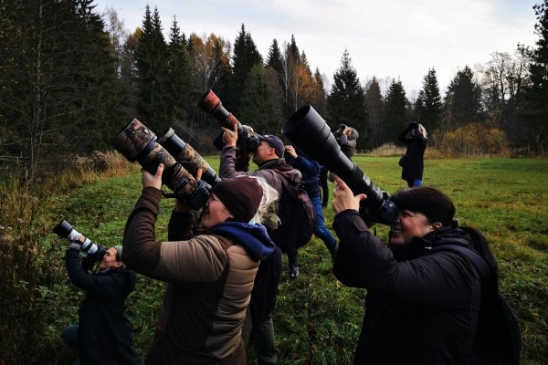 Eiropas putnu vērošanas dienās aicina ziņot par gājputnu novērojumiem visā Latvijā 