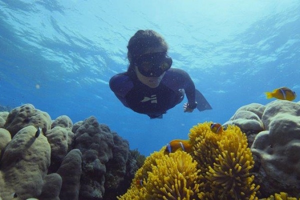 Tuvojoties Zemes dienai: Jaunā filmā «Zemūdens pasaule: Cīņa par koraļļiem» aktualizēs klimata pārmaiņas un to ietekmi uz koraļļu rifiem