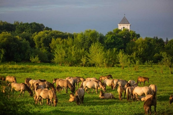 Lielupes palienes pļavas prete