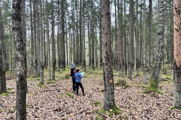 Aktīvai atpūtai: «Rīgas meži» piedāvā trīs orientē