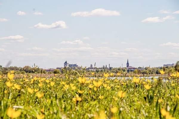 Pavasara baudĒŠANAS dienas Jelgavā un Jelgavas nov