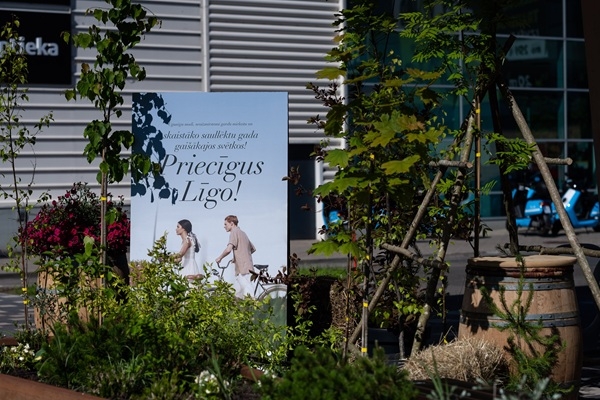 Papardes zieds šogad paliks mežā: katrs trešais Jāņu naktī to nemeklēs