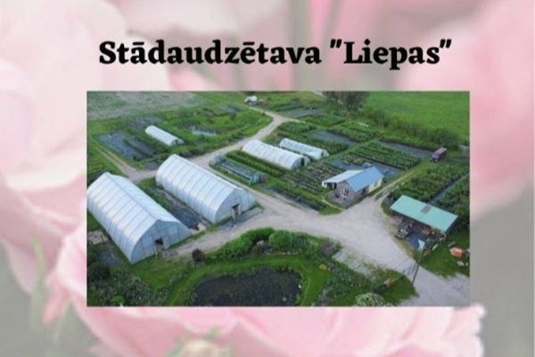 Dobeles novads: «Liepas» stādaudzētava 5. jūlijā aicina kopīgi svinēt jau desmitos dārza svētkus «Redzi pasauli ziedam!»