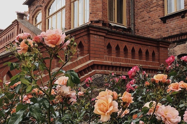 Dārza svētki «Kad rozes runā» Jaunmoku pilī – smar